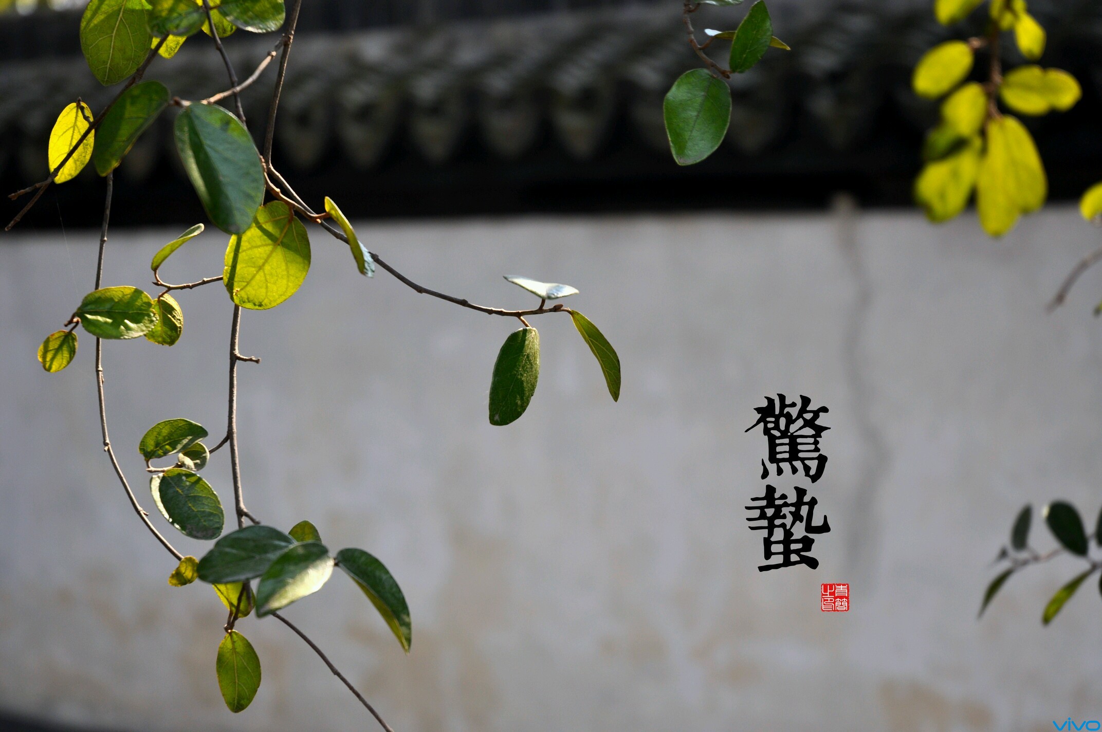 【农娱】一雷惊蛰始，田家几时闲#舌尖中的春天#